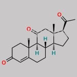 11-Keto Progesterone CAS#: 516-15-4