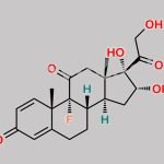 11-Oxo Triamcinolone CAS#: 3107-69-5