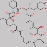 11-Propyl Sirolimus CAS#: N/A