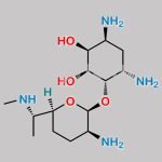 Gentamicin Impurity 1 CAS#: N/A