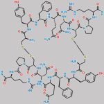 1,1',6,6'linked Vasopressin Dimer (Antiparallel) CAS#: N/A