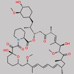 12-Desmethyl Rapamycin CAS#: 156223-31-3