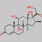 1,2-Dihydro Dihydroxy Beclometasone CAS#: N/A