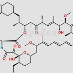 12-Ethyl Rapamycin CAS#: 1290606-20-0