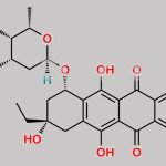 13-Deoxycarminomycin CAS#: 76034-18-9