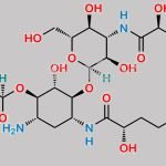 1,3''-Di-HABA Kanamycin A CAS#: 197909-66-3