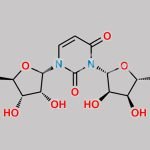 1,3-Disubstituted Uridine CAS#: 7561-36-6