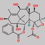 13-epi-10-Deacetyl Baccatin III CAS#: 172018-16-5