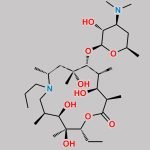 13-O-Decladinosyl Gamithromycin CAS#: 1797448-01-1