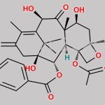 13-Oxo-10-Deacetyl Baccatin III CAS#: 92950-42-0