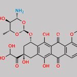 14-Hydroxy Epirubicin(Diol) CAS#: N/A