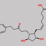 15-Keto Latanoprost Acid CAS#: 369585-22-8
