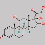 16-alpha-17-beta Hydroxy Prednisolone CAS#: N/A