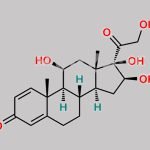 16-beta hydroxy Prednisolone CAS#: 218965-19-6