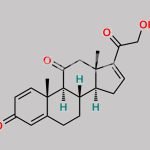 16-Dehydro 17-Dehydroxy Prednisone CAS#: 102447-86-9