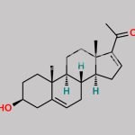 16-Dehydropregnolone CAS#: 1162-53-4