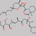 16-Desmethoxy Rapamycin CAS#: N/A