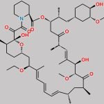 16-Ethoxy Sirolimus CAS#: N/A
