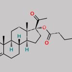 17-alpha-Hydroxy Progesterone Enanthate CAS#: 4596-16-1