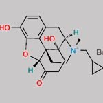 17S-Naltrexone Methobromide CAS#: 916045-21-1