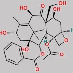19-Hydroxy-10-Deacetylbaccatin III CAS#: 154083-99-5