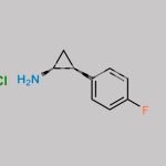 (1S,2S)-2-(4-fluorophenyl)cyclopropanamine HCl CAS#: N/A