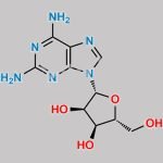 2-Amino-Adenosine CAS#: 2096-10-8