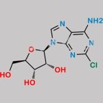 2-Chloroadenosine-2’,3’-acetonide CAS#: 146-77-0