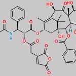 2',-cis-aconityl-Docetaxel CAS#: 1808949-90-7