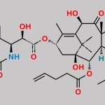 2-Debenzoyl-2-pentenoyl Docetaxel CAS#: 1412898-66-8