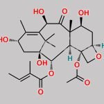 2-Debenzoyl-2-Tigloyl 10-Deacetyl Baccatin III CAS#: 171926-87-7