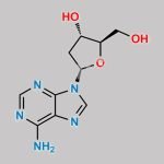 2'-Deoxyadenosine CAS#: 958-09-8