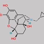 2-Hydroxy-3-Methoxy-6Beta-Naltrexol CAS#: 57355-35-8
