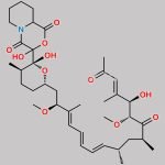 2-Hydroxy-3,6-dione morpholine Rapamycin CAS#: N/A