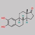2-Hydroxy Estrone CAS#: 362-06-1