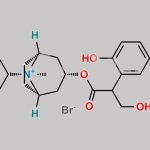 2-Hydroxy Ipratropium Bromide CAS#: N/A