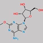 2-Methoxy Adenosine CAS#: 24723-77-1