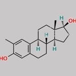 2-Methyl Estradiol CAS#: 1818-12-8
