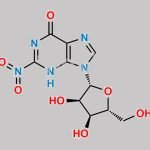 2-Nitroinosine CAS#: 266360-66-1