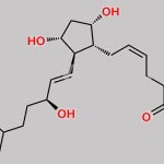 2-Nor Bimatoprost CAS#: 1356251-65-4
