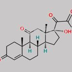 21-Dehydrocortisone CAS#: 16574-04-2