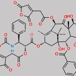 2',10-Di-cis-aconityl-Docetaxel CAS#: N/A