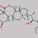 (22S,23S)-Homobrassinolide CAS#: 80483-89-2