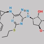 2,3-Difluoro Ticagrelor CAS#: 1643378-48-6