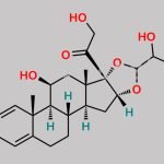 23-Hydroxy Budesonide CAS#: 109423-03-2