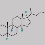 24-Dehydrolathosterol CAS#: 17608-47-8