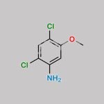 2,4-Dichloro-5-Methoxyaniline CAS#: 98446-49-2