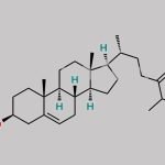 24-Ketocholesterol CAS#: 17752-16-8