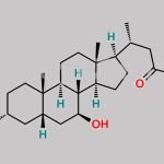 24-Nor Ursodeoxycholic Acid CAS#: 99697-24-2