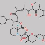 24-OH-Sirolimus CAS#: N/A